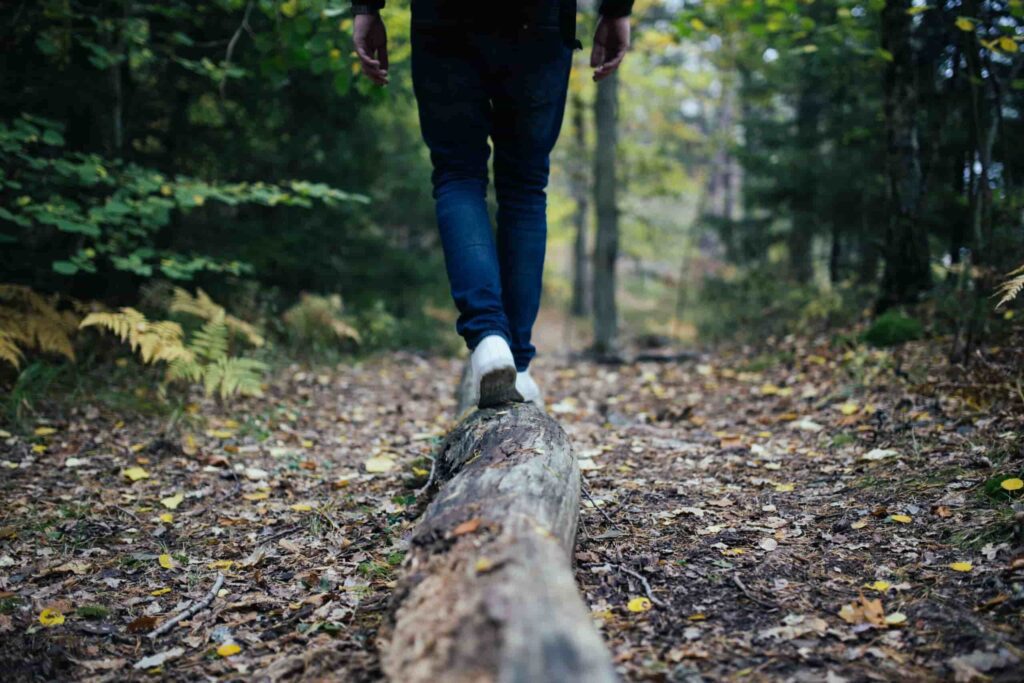 An autumunam forest scene where many of the leaves are green yet some are turning yellow and golden. The bottom half of a person is seen walking away from the camera along a wooden log.